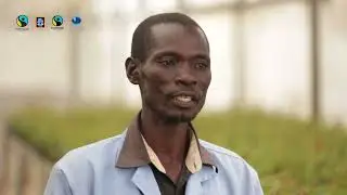 Kenya Roses Project-Sustainable Practices with Aquila Flower Farm