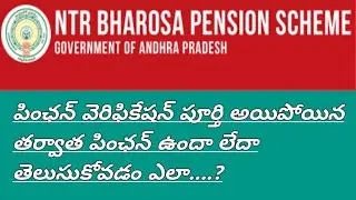 దివ్యాంగుల పింఛన్ వెరిఫికేషన్ పూర్తి అయిపోయిన తర్వాత పింఛన్ వస్తుందా రాదా తెలుసుకోవడం ఎలా..?#pension