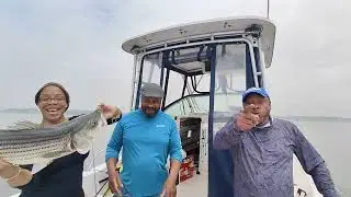 STRIPED BASS  FISHING western Long Island Sound