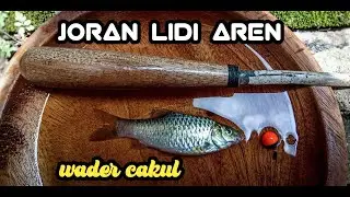 mancing wader cakul pakai joran lidi aren
