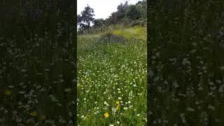 Ci devi credere