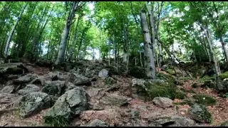 E-Mtb Freeride Trail Bayerischer Wald S3!