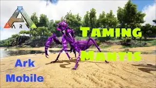 Taming Mantis||How To Tame Mantis Ark Ultimate Survival Mobile Edition How To Tame Mantis #arkmobile