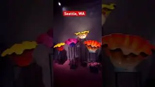#seattle #chihuly #glassart #spaceneedle #washingtonstate #usa #beautiful #artwork #art #travel