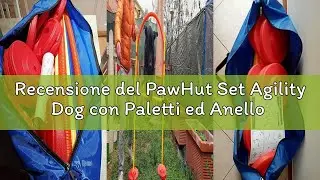 Recensione del PawHut Set Agility Dog con Paletti ed Anello Regolabile per Addestramento Cani