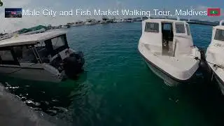 Male City and Fish Market Walking Tour, Maldives