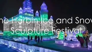 Ultimate Festival Guide 2024: Top Festivals Around the World You Can't Miss!