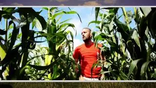 PIETROPROD - 