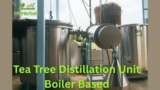 Tea-Tree essential oil HM Herbals distillation unit installation at Kenya .