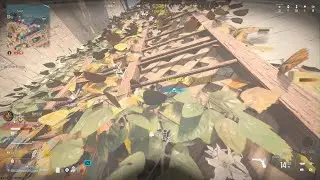 COD11