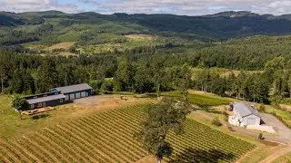 Willamette Valley Vineyard For Sale  (Yamhill Carlton AVA - Oregon)