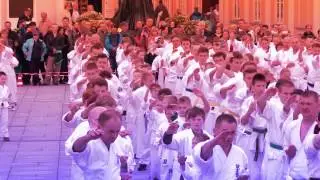 Seido Karate Poland