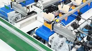 Long Nail Horizontal Double-Side Packing Machine |Nails Packaging Line