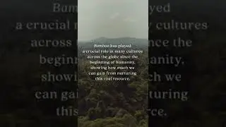 Earth Day Windows Display ft. The Nature Conservancy