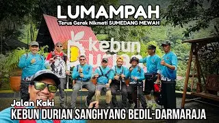 SANGHYANG BEDIL : Lumampah TERUS GERAK ke Kebun Durian Sanghiang Bedil di Darmaraja Sumedang Mewah. 