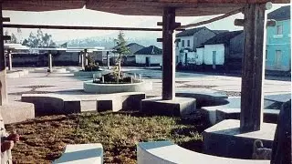 Schools and markets, 1964-1996