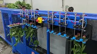 Peony cutter / stripper / sorter