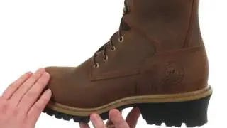 Irish Setter Mesabi 8