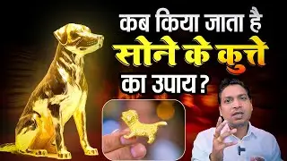 सोने के कुत्ते का उपाय | Gold Dog Remedy For Many Problems #golddog #gold