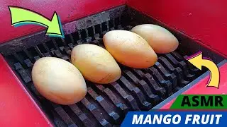 ASMR Satisfying | Mango fruits vs fast shredder machine
