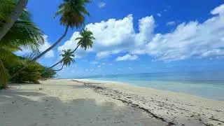 Soothing Waves 🌊 8D EMDR Bilateral Stimulation Beach ASMR for Anxiety, PTSD, Sleep #emdrtherapy