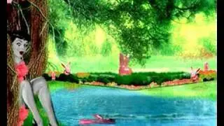 video secretoy rabbit