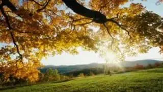 BRIGHTER DAY AHEAD