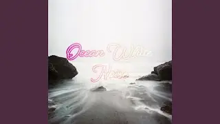 Pure Ocean Wave Sounds