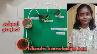 working model of science project on drip irrigation. DIY at home with used disposable items.....