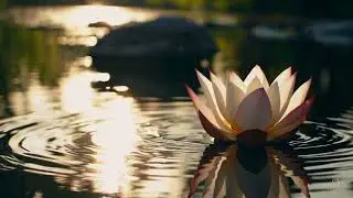 Serene Spiritual Journey