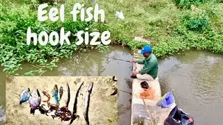 Eel Fish Catching | Eel Fishing | Baam Fishing 