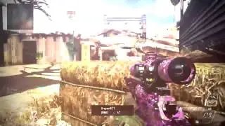 SE AFx  DIVERSITY   A Call Of Duty DUALTAGE ft dZ Frnzy