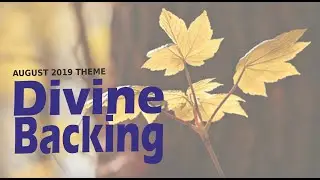DIVINE BACKING Midweek Service WITH APOSTLE JOSHUA TALENA