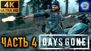 Прохождение Days Gone в 4К на Ultra Видео № 4: Зараженные гнезда на кладбище Пайонир