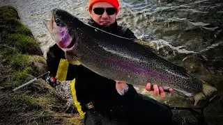 Aalsbogaard Lystfiskesø, god dag ved søen