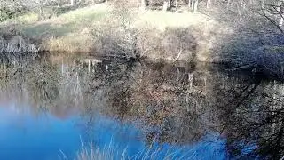 Pond at Kirkton House