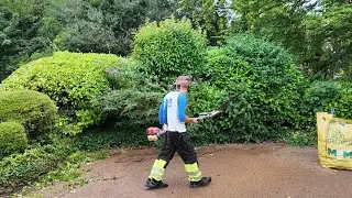 Shaping a Laurel Hedge & Roadside Cutting Tips