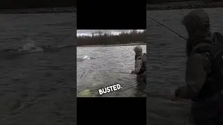 Steelhead BROKE my FLY ROD! (CAUGHT ON CAMERA!?)😱 #steelhead #fishing #flyfishing