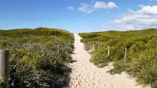 Coastal dunes biogeography