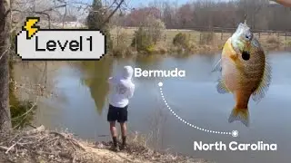 Beginner Level Fishing in America