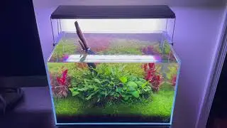 45U Aquascape - Cinematic