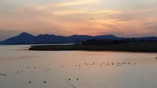 [4K ASMR] Powerful Afterglow Energy at Eulsukdo ✨ Bird's Flight in Golden Sky | Busan, Korea | 힐링 낙조
