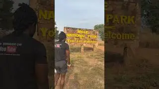📍Mole National Park 🇬🇭