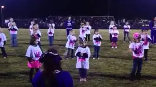 Vian Mini Cheerleaders