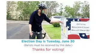 Voting in the June 2020 Primary Election