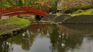 THE MOST BEAUTIFUL SECRET GARDEN IN PARIS