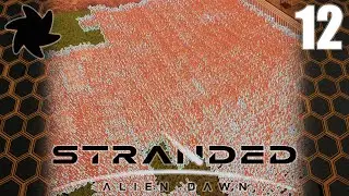 Stranded Alien Dawn - 12 - Grain Overload