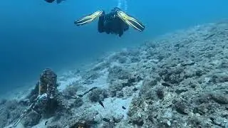 Dive With Me &ndash; Swimming Past a Sunken Skeleton 👀🦴