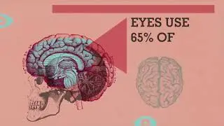 NFTS Graphics & Titles Showreel (c)NFTS 2018
