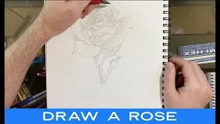 How To Draw A Rose: Real Time Flower Drawing Tutorial